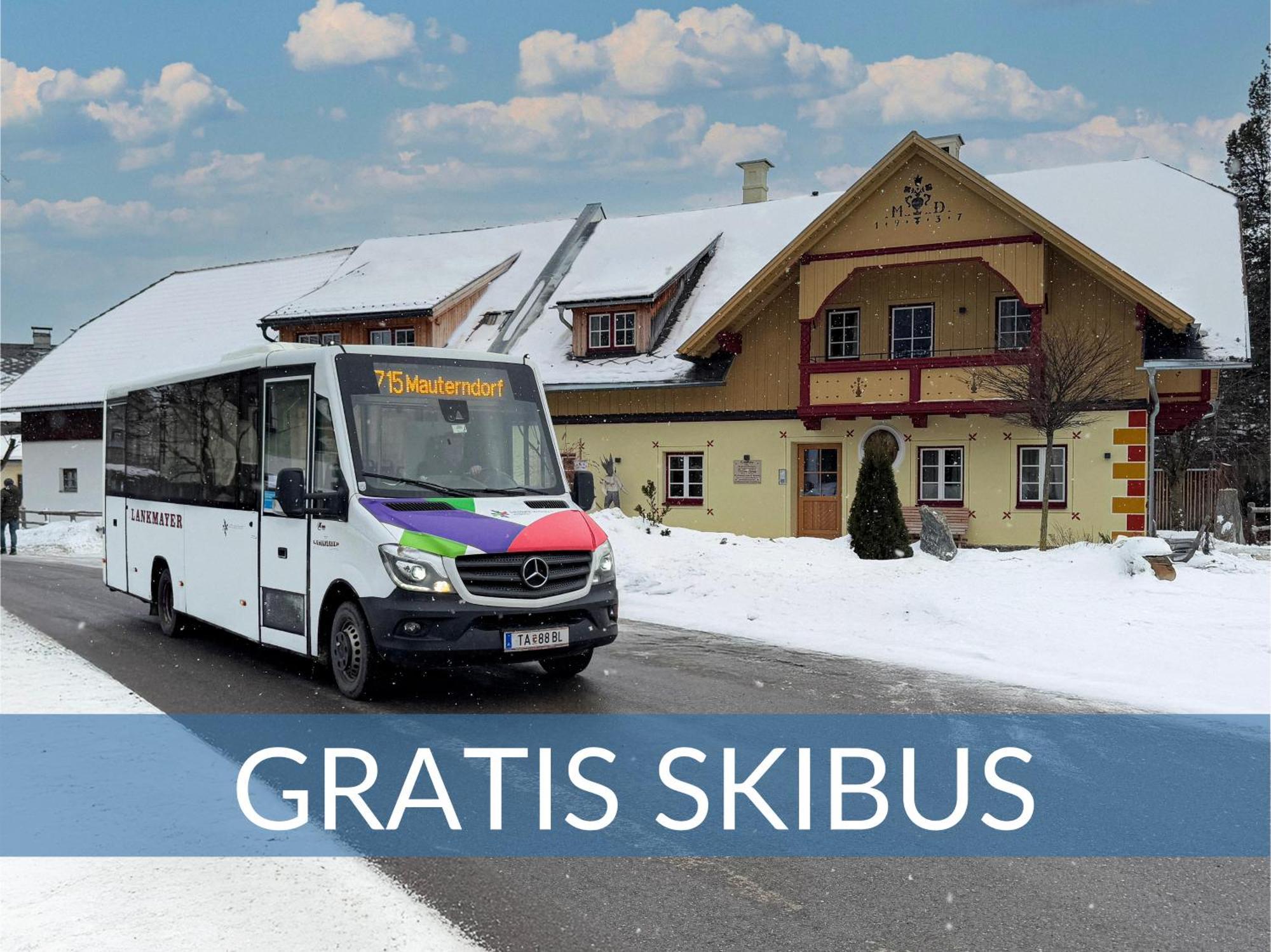 Heimathaus Dengg - Ferienwohnungen - Sommerfrische In Den Alpen Маутерндорф Экстерьер фото
