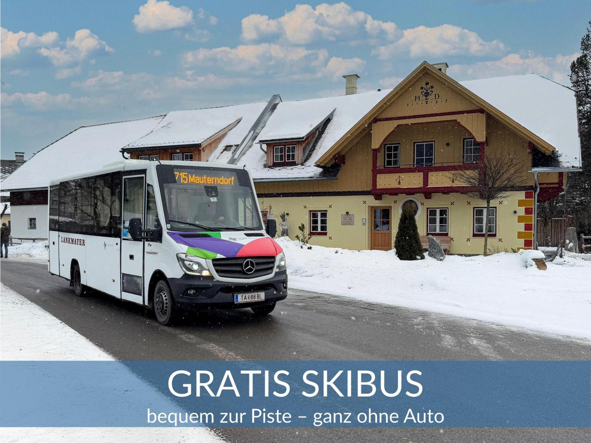 Heimathaus Dengg - Ferienwohnungen - Sommerfrische In Den Alpen Маутерндорф Экстерьер фото